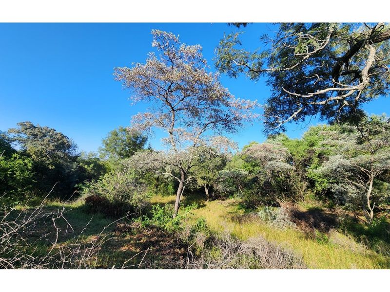 Intaba-Indle Wilderness Estate - Your dream home stand bordering seasonal stream and near Dam - Photo 10