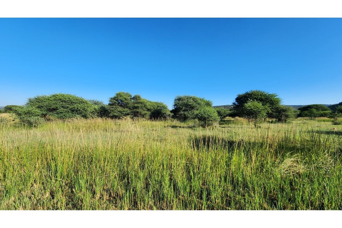 Intaba-Indle Wilderness Estate - Your dream home stand bordering seasonal stream and near Dam - Photo 3
