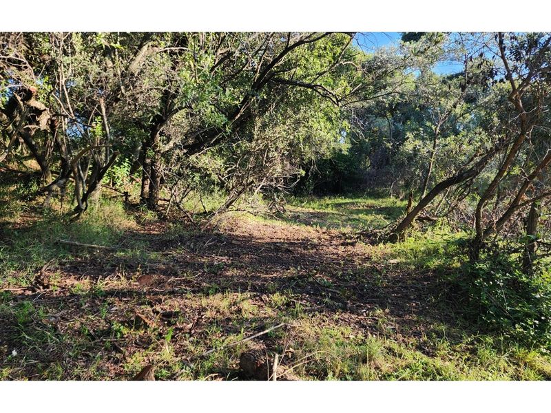 Intaba-Indle Wilderness Estate - Your dream home stand bordering seasonal stream and near Dam - Photo 5