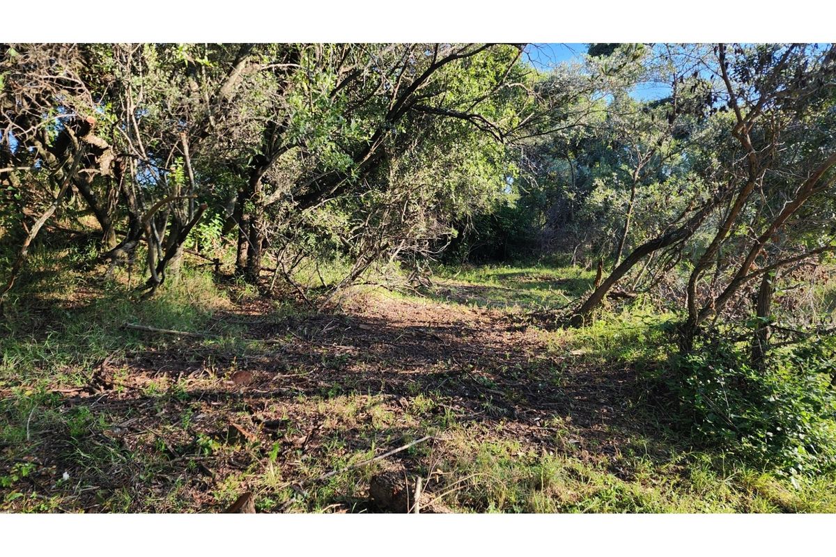 Intaba-Indle Wilderness Estate - Your dream home stand bordering seasonal stream and near Dam - Photo 5