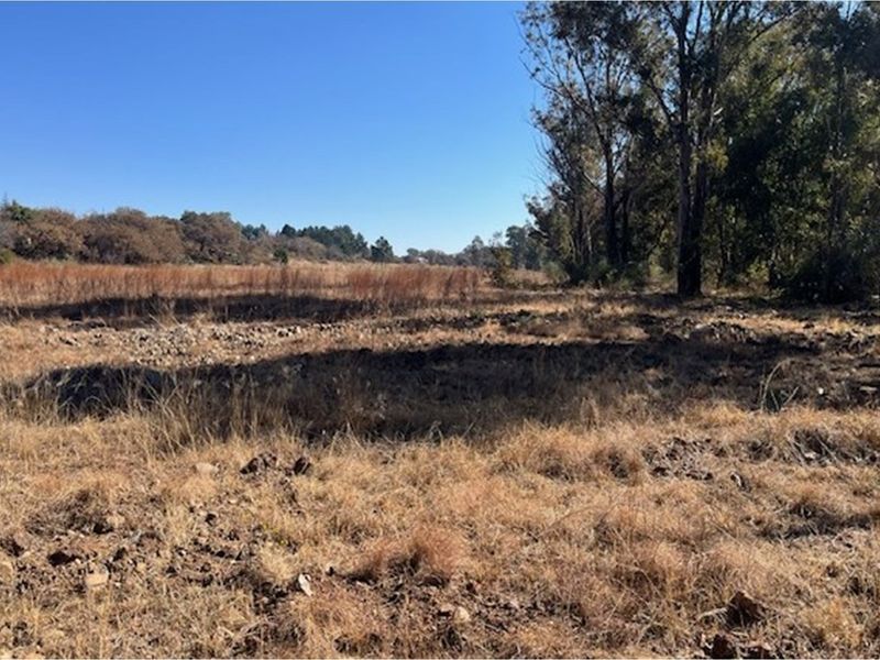 Prime vacant land, breakaway from the hustle and bustle of city life. - Photo 3