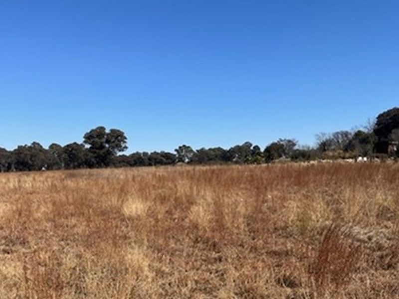 Prime vacant land, breakaway from the hustle and bustle of city life. - Photo 4