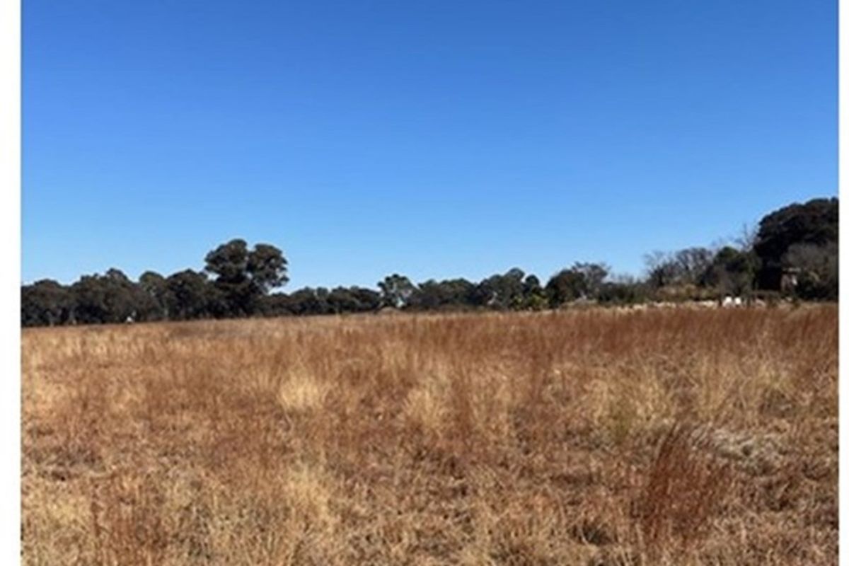 Prime vacant land, breakaway from the hustle and bustle of city life. - Photo 4