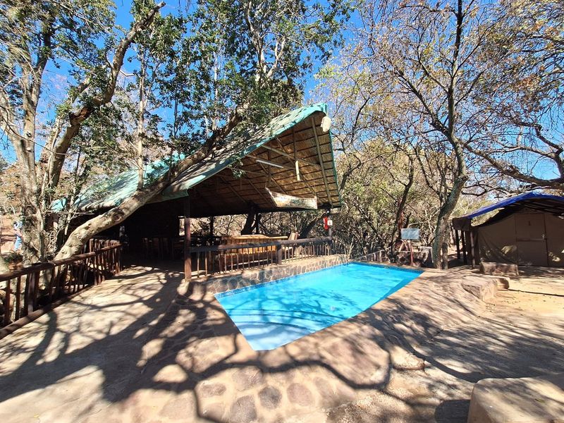 Exclusive Opportunity: Productive Farm and Boutique Lodge - Photo 7