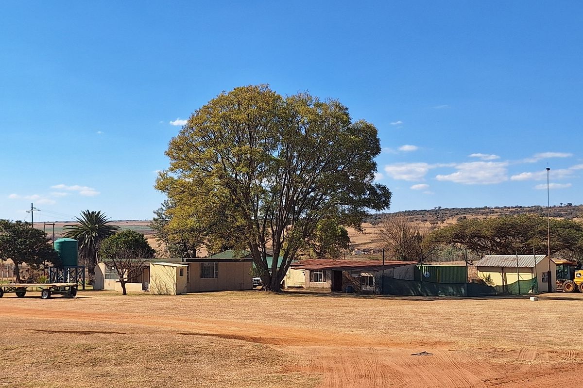 Exclusive Opportunity: Productive Farm & Boutique Lodge - Photo 4