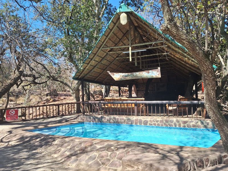 Exclusive Opportunity: Productive Farm & Boutique Lodge - Photo 5