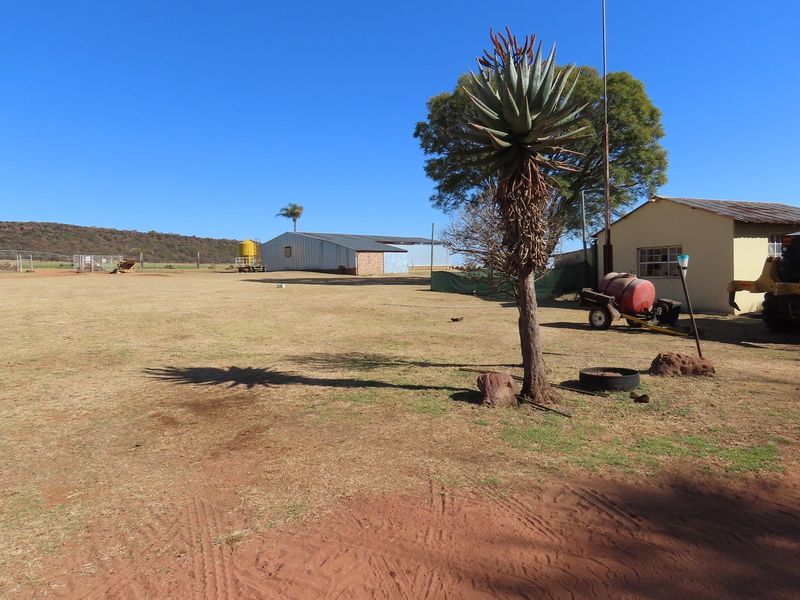 Exclusive Opportunity: Productive Farm & Boutique Lodge - Photo 7