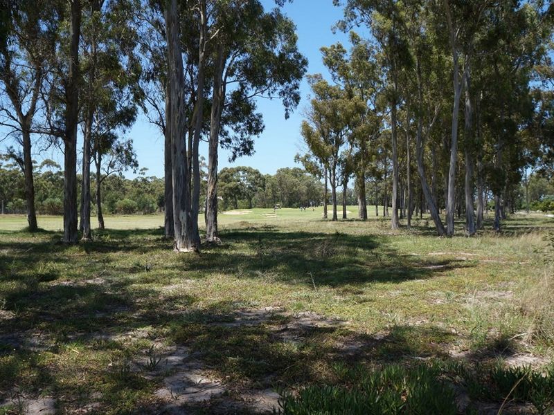 A view of a vacant residential plot featuring mature trees and natural grassland, offering a peaceful and open landscape setting.
