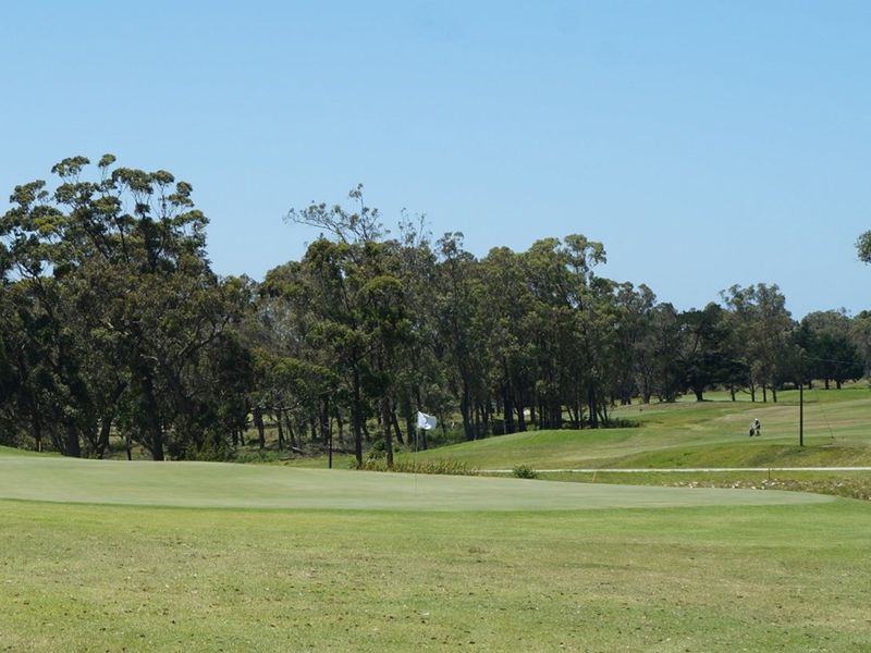A scenic view of a well-maintained golf course featuring lush green fairways and mature trees under a clear blue sky.