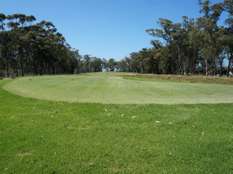 A scenic view of a well-maintained grassy landscape surrounded by mature trees, showcasing the natural beauty and open space of the property.