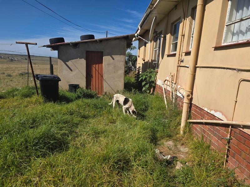 3-bed Bhisho home with burglar bars, garage, carport and parking for 3 cars - Photo 5