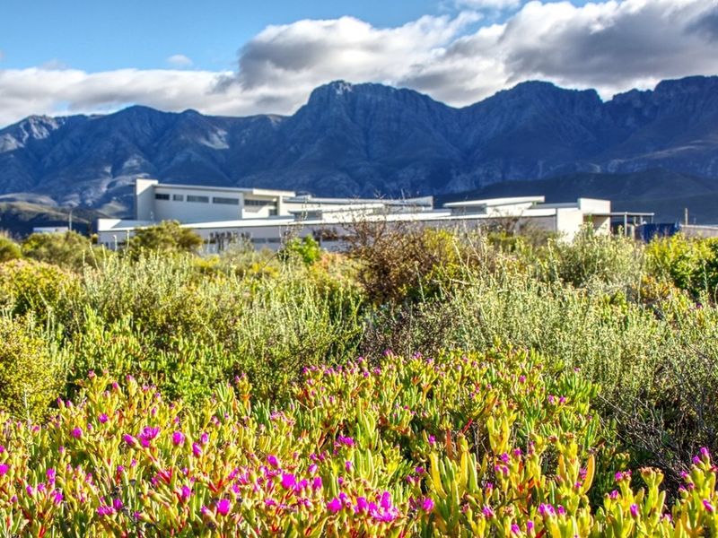 A scenic view of the surrounding landscape featuring indigenous flora in the foreground and a prominent mountain range in the background.