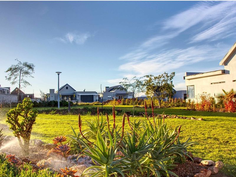 A well-maintained residential garden featuring lush green lawn, established succulent plantings, and an active irrigation system within a modern estate setting.