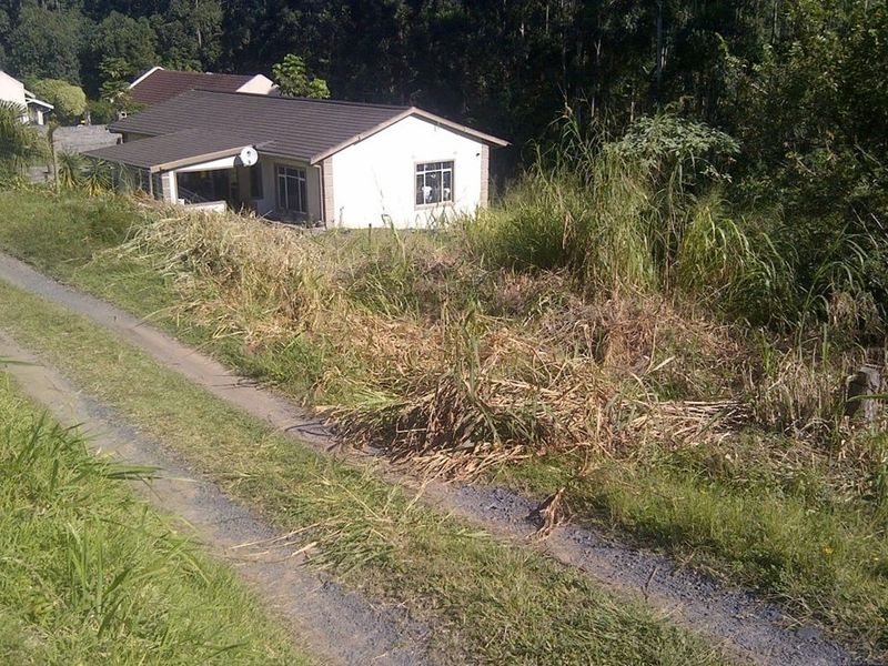 An elevated view of a residential property lot featuring a single-story dwelling surrounded by dense, overgrown vegetation and a gravel access track.