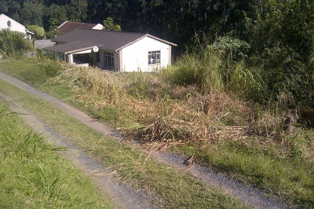 An elevated view of a residential property lot featuring a single-story dwelling surrounded by dense, overgrown vegetation and a gravel access track.