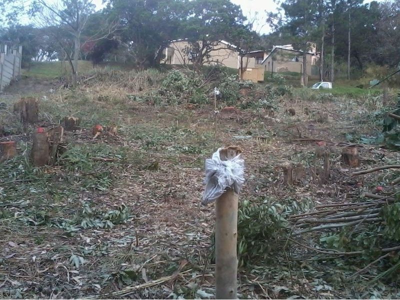 A view of a vacant residential plot featuring cleared vegetation, tree stumps, and a sloped landscape, ready for potential development.