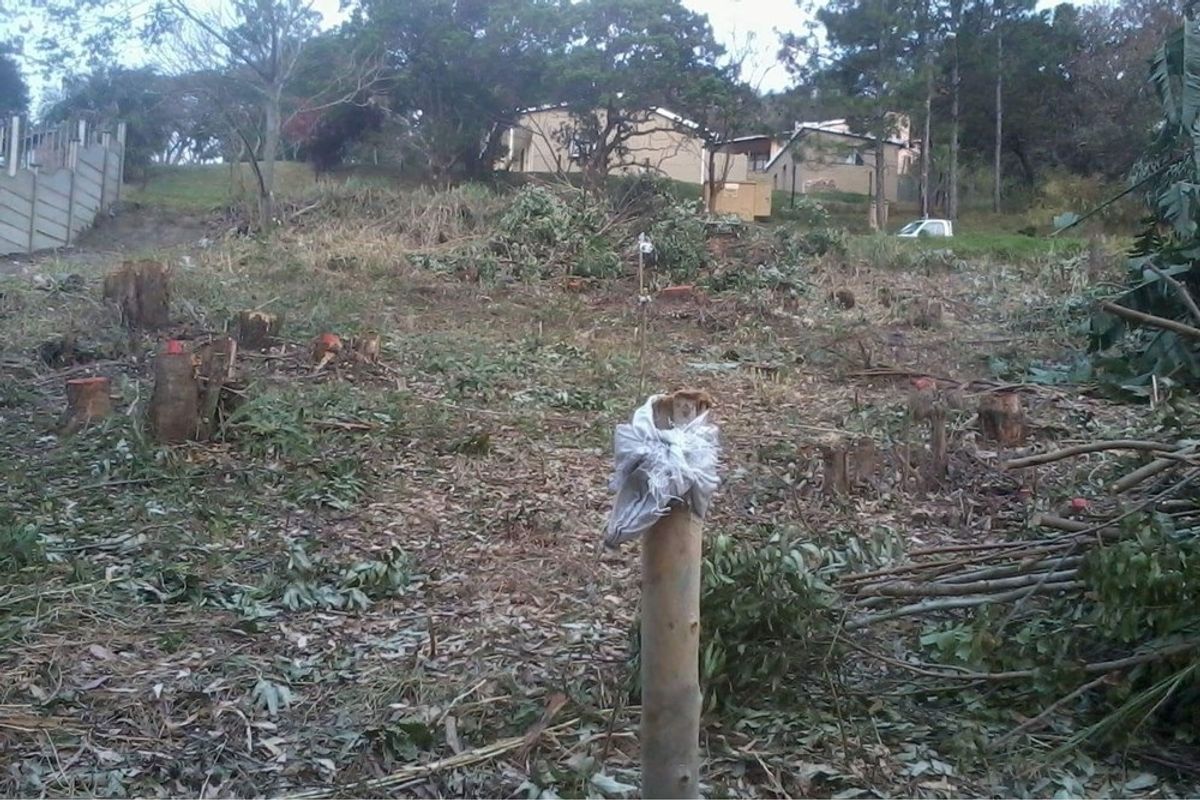 A view of a vacant residential plot featuring cleared vegetation, tree stumps, and a sloped landscape, ready for potential development.