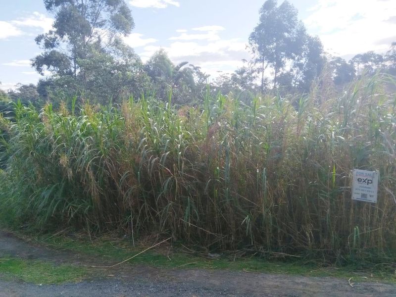 A vacant residential plot featuring dense natural vegetation and tall grasses, offering a blank canvas for future development.