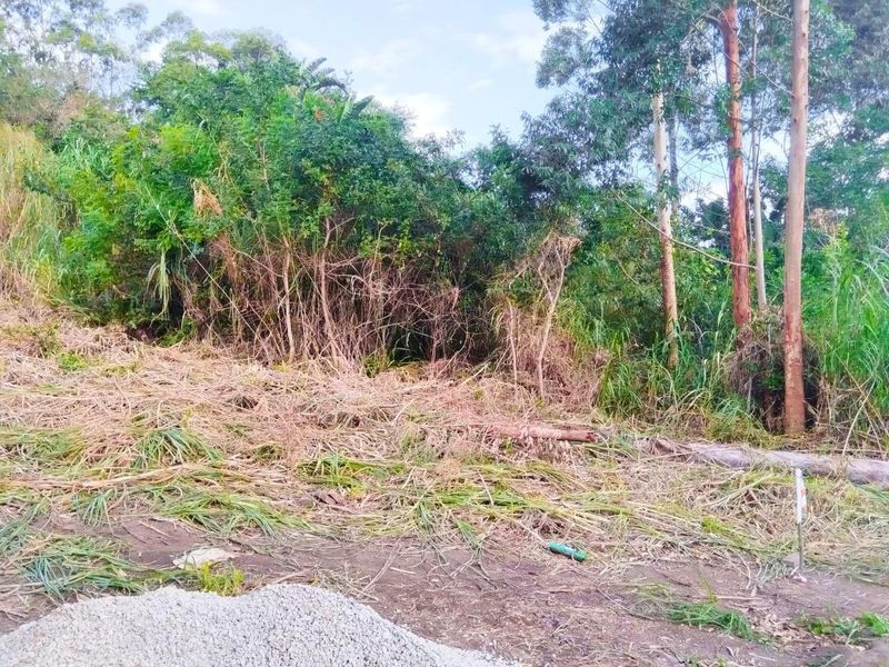 A view of a vacant residential plot featuring dense natural vegetation, trees, and cleared ground, suitable for future development.