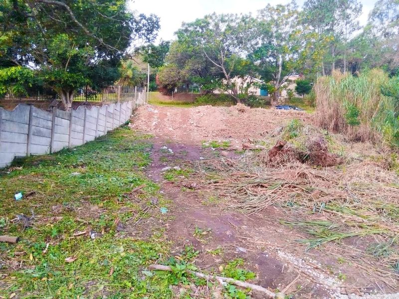 A vacant residential plot featuring a concrete boundary wall, mature trees, and natural vegetation, offering a blank canvas for future development.