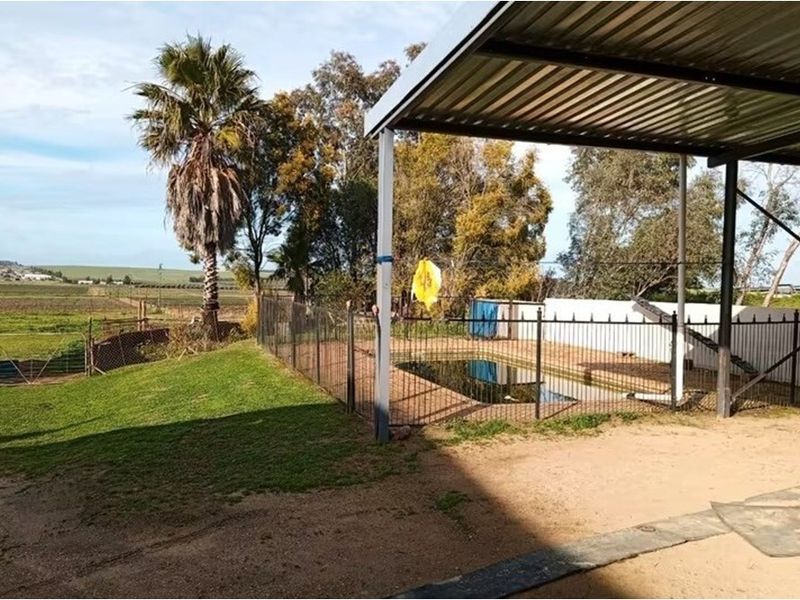 Smallholding in this serene and tranquil location in Porterville , Western Cape - Photo 7