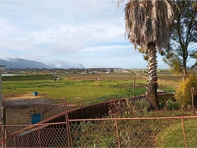 Smallholding in this serene and tranquil location in Porterville , Western Cape - Photo 5