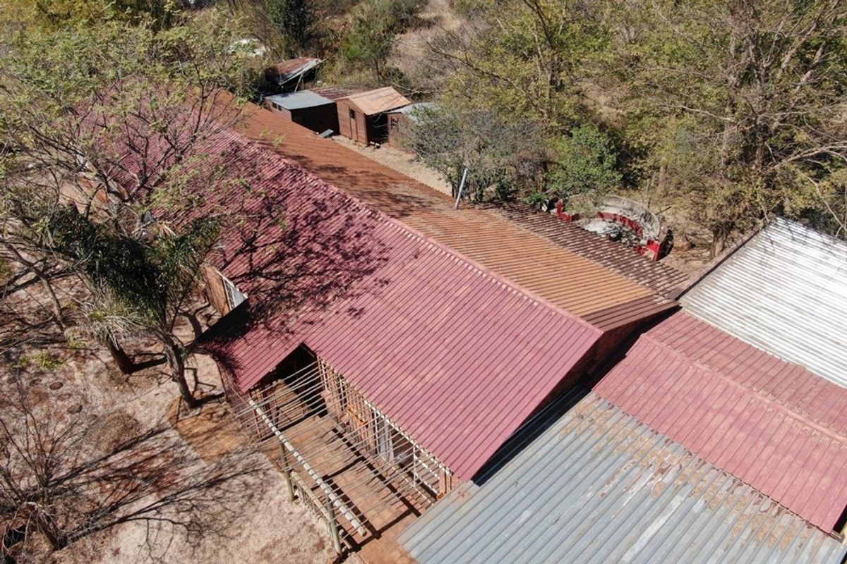 Aerial view of the property showing multiple corrugated metal roof sections, a wooden deck structure, and surrounding mature trees on the small holding.