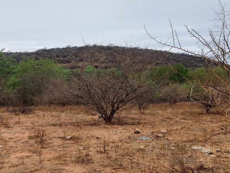 Vacant Land For Sale in Elephant Rock Eco Estate, Hoedspruit - Photo 1
