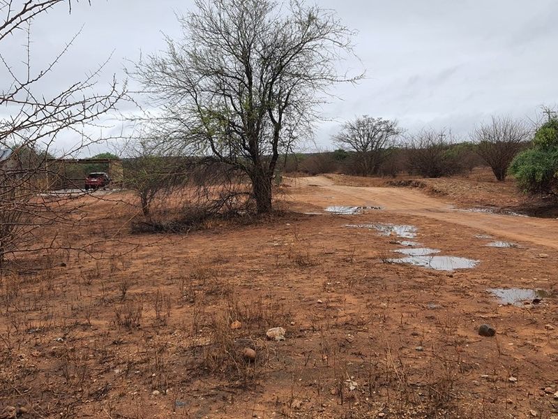 Vacant Land For Sale in Elephant Rock Eco Estate, Hoedspruit - Photo 5