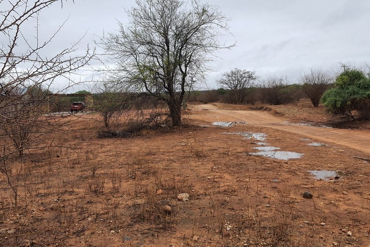Vacant Land For Sale in Elephant Rock Eco Estate, Hoedspruit - Photo 5