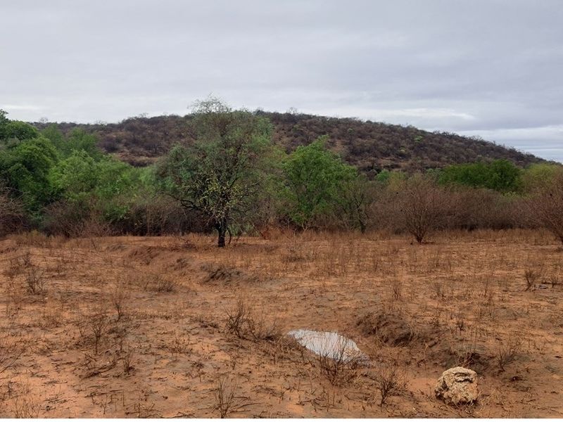 Vacant Land For Sale in Elephant Rock Eco Estate, Hoedspruit - Photo 3