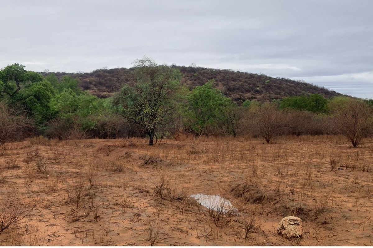 Vacant Land For Sale in Elephant Rock Eco Estate, Hoedspruit - Photo 3