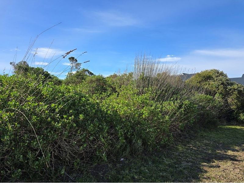 Vacant Land For Sale in St Francis Links St Francis Bay Eastern Cape - Photo 5