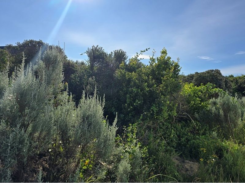 Vacant Land For Sale in St Francis Links St Francis Bay Eastern Cape - Photo 9