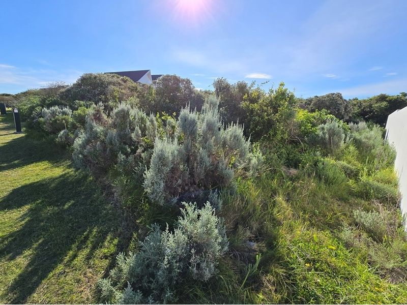 Vacant Land For Sale in St Francis Links St Francis Bay Eastern Cape - Photo 8