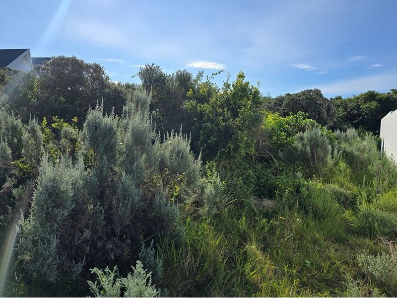 Vacant Land For Sale in St Francis Links St Francis Bay Eastern Cape - Photo 7