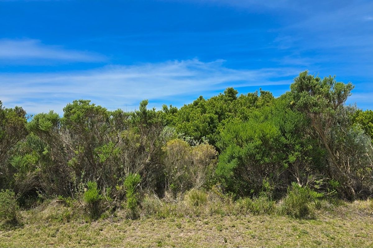 Vacant Land For Sale in St Francis Links St Francis Bay Eastern Cape - Photo 2