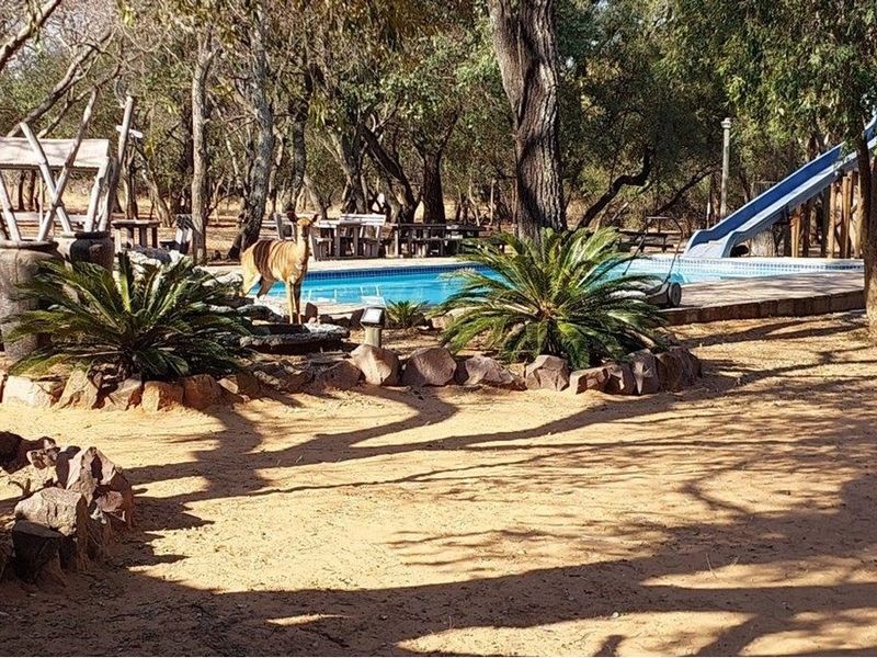 Established Caravan Park and Leisure Facility for sale, Bela Bela - Photo 1