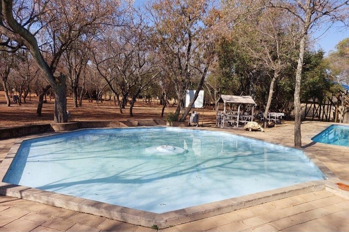 Outdoor pool area featuring a hexagonal swimming pool set within a paved patio, surrounded by mature trees in a natural farm setting.