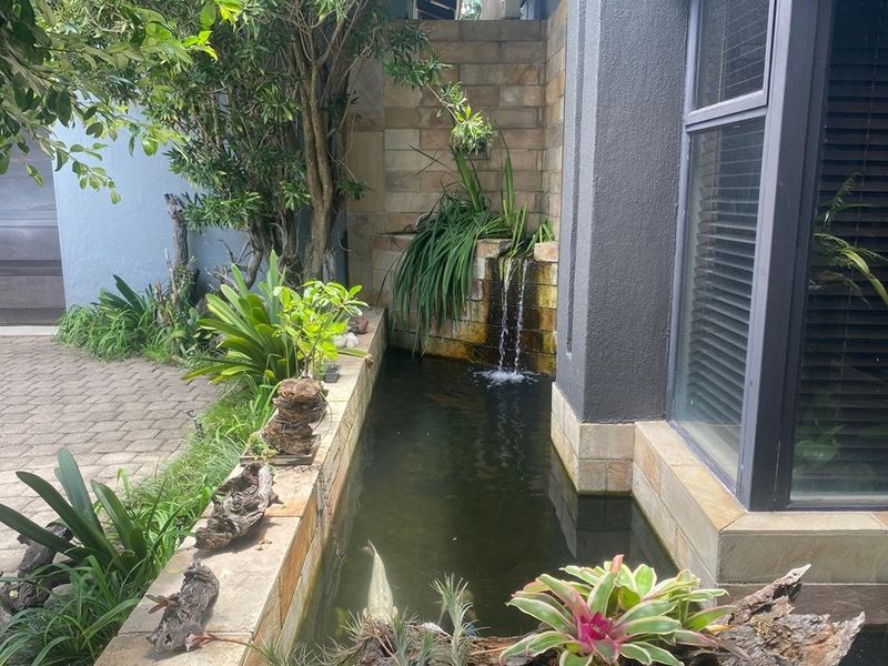 A tranquil outdoor water feature with stone cladding, integrated pond, and landscaped garden area adjacent to the main building structure.