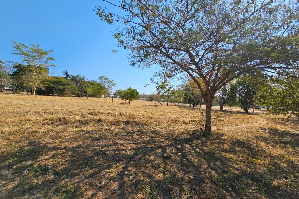 Vacant Stands For Sale in Sabie River Eco Estate, Hazyview - Photo 5