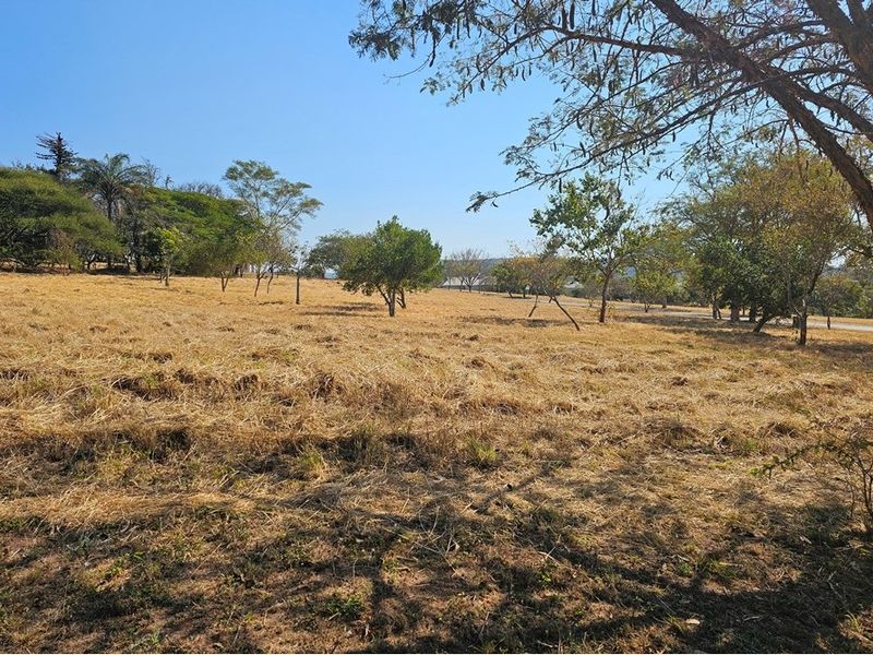 A view of a vacant residential plot featuring dry grass and scattered mature trees under a clear blue sky.