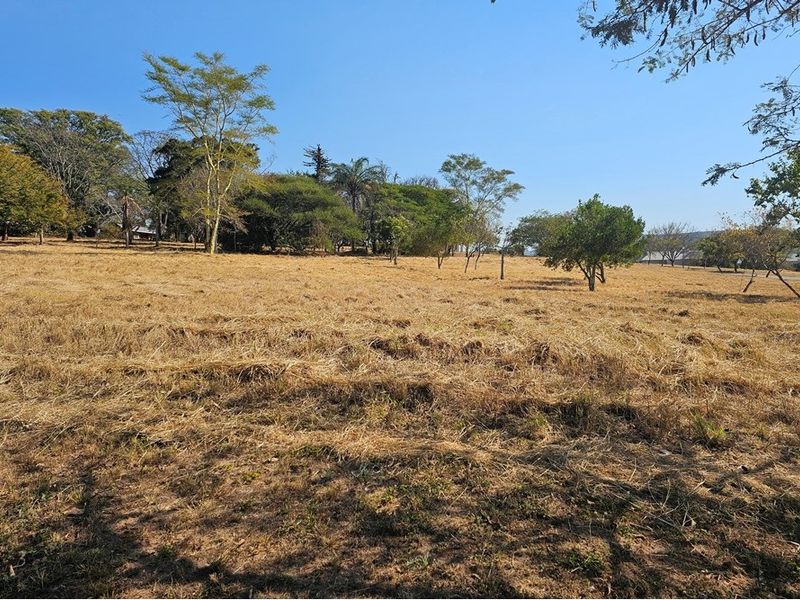 A view of a vacant residential plot featuring dry grass and scattered mature trees under a clear blue sky.