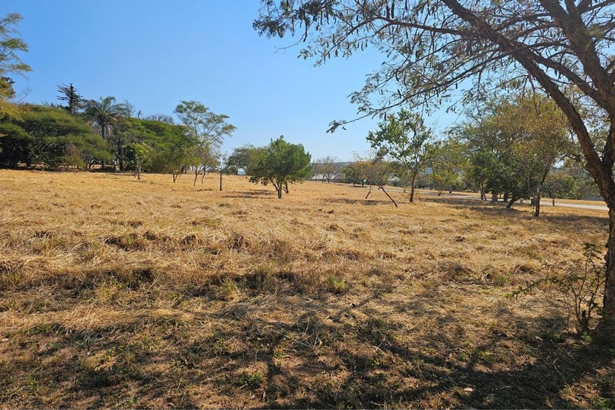 A view of a vacant residential plot featuring dry grass and scattered mature trees under a clear blue sky.