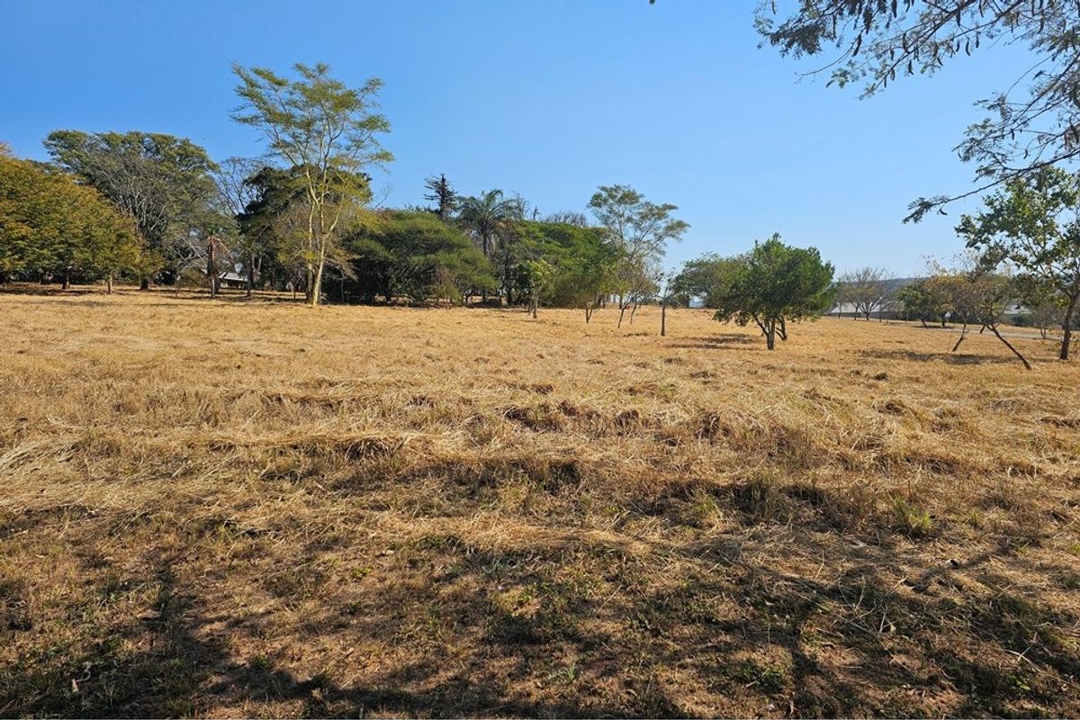 A view of a vacant residential plot featuring dry grass and scattered mature trees under a clear blue sky.