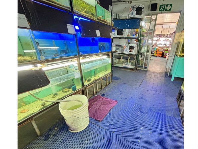 Commercial Property For Sale in Vanderbijlpark CE, Vanderbijlpark - Photo 7