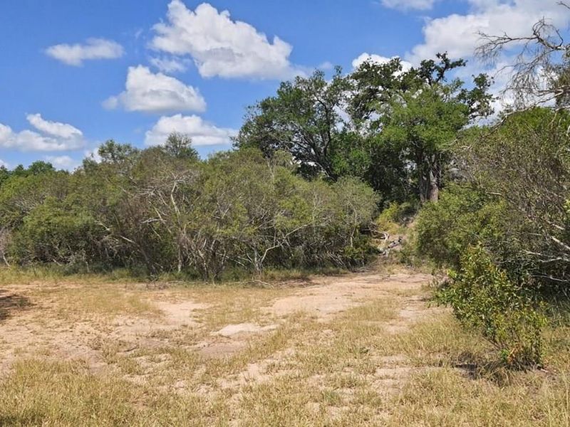 A view of the vacant residential land featuring natural vegetation, mature trees, and open grassy areas.