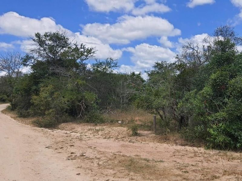 A view of a vacant residential plot featuring natural bushveld vegetation and direct access from a dirt road.