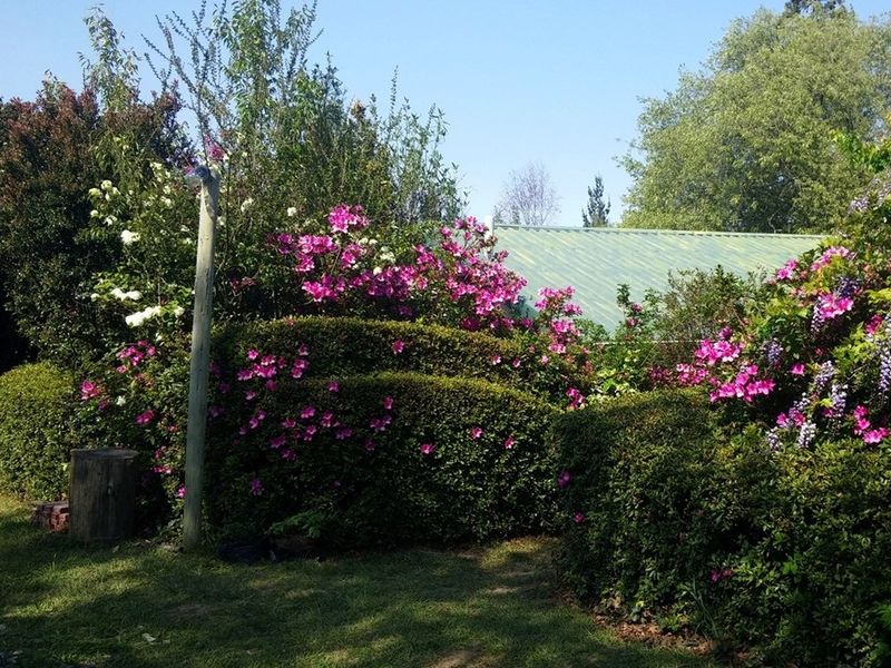 Apartment For Sale in Hogsback - Photo 10