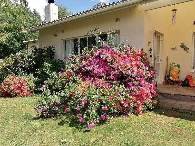 Apartment For Sale in Hogsback - Photo 5